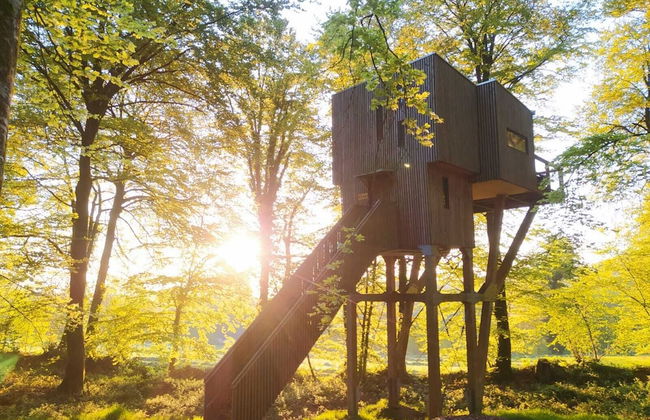 Etape en forêt - Foto 9