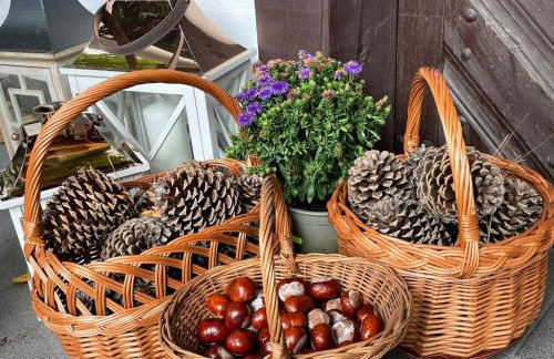 Apartament w XIX-wiecznym Spichlerzu nad Jeziorem z dostępem do parku i widokiem na Dworek Modrzewiowy z 1823 roku - Foto 45