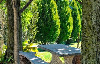 Agriturismo Olistico Atman - Foto 58