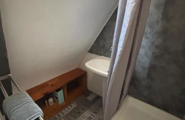 Hypercentre, proche halage et rue principale - Foto 3