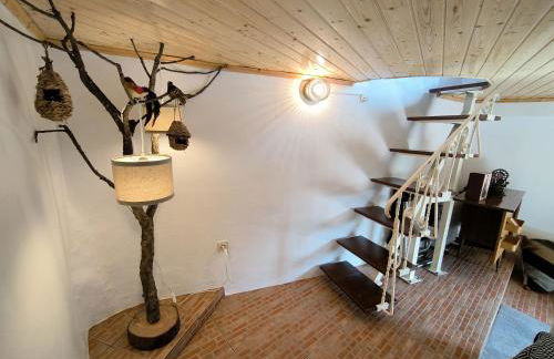 Canastro Nature Spot - Foto 2