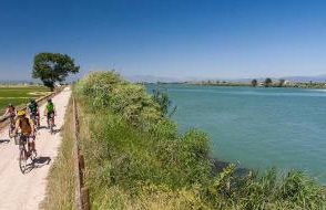 Brisa del Delta & Pool - Foto 22