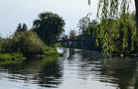 Spreewaldhäuser Golinski mit Kamin am Neuendorfer See - Foto 79