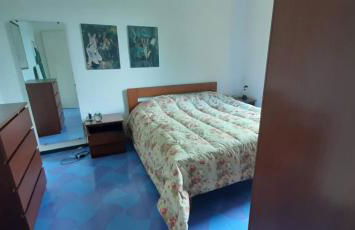 Wonderful apartment in the pine forest - Foto 6