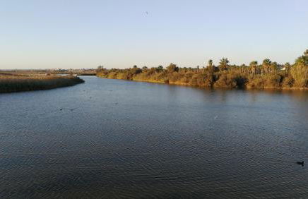 Salgados Beach&Golf - Praia dos Salgados - Foto 75