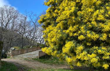 Vuelos de Montaña l - Foto 15