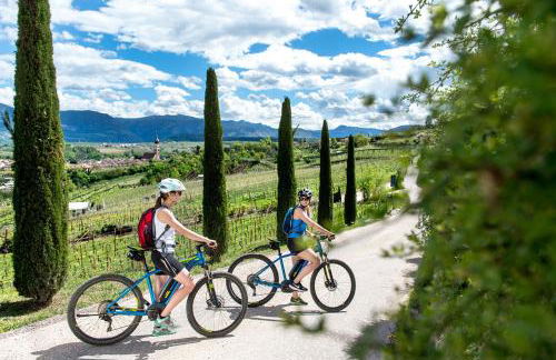 Lafoi - Apartments in Eppan - Photo 11