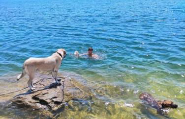 Via Fera, con vistas a la naturaleza - Foto 42