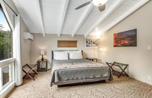 Sea Turtle Life - Photo 30