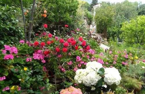 Paradisos House - Foto 9