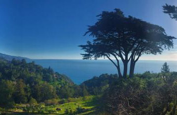 5 acres pool/spa, walk to all Big Sur has to offer - Foto 22