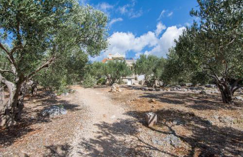 House Motar - Foto 14