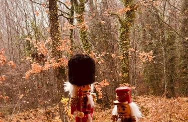 Arnaia Forest Villa - Photo 24