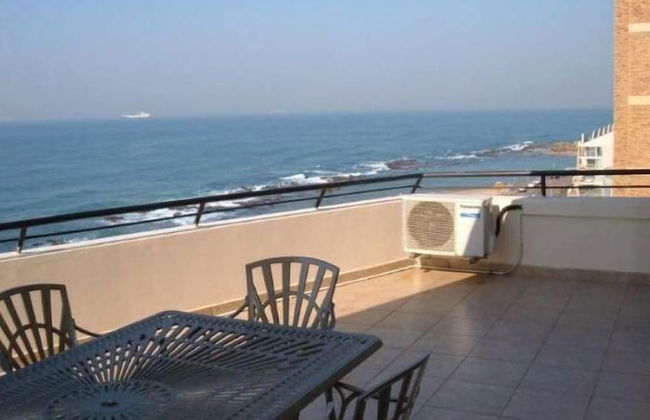 Lazy Lizard - Foto 21