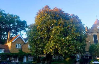 Georgian Period Building - Foto 3