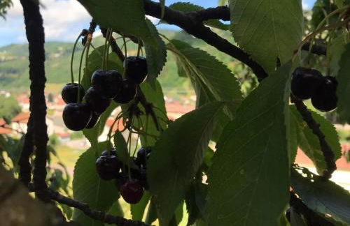 La montagne - Foto 20