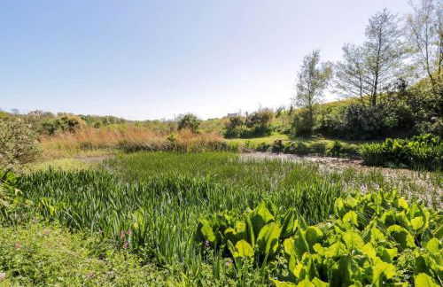 Claymoddie - Foto 48