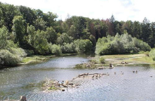 Ferienwohnung Am Fischteich - Foto 10