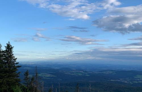 Bayerwaldnest - Foto 42