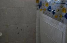 Vista para o por do sol - Foto 7