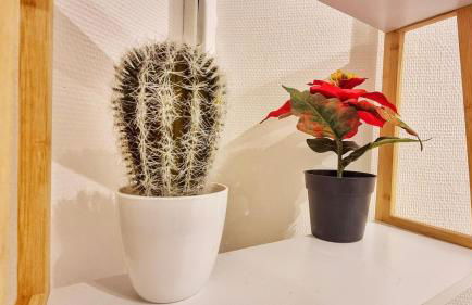 Chez Coralie - T2, 2 pers, parking, balcon - Photo 13