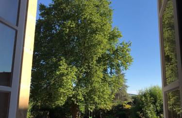 Le Clos des Platanes - Foto 45