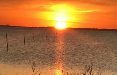Zur Alten Boddenfischerei Ferienwohnung Zander - Foto 16