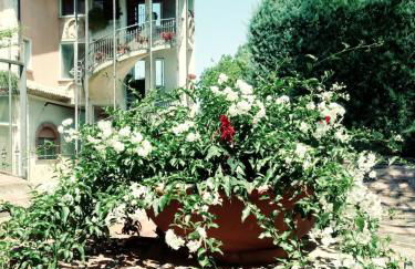 Parco Sogni d'Oro - Photo 13