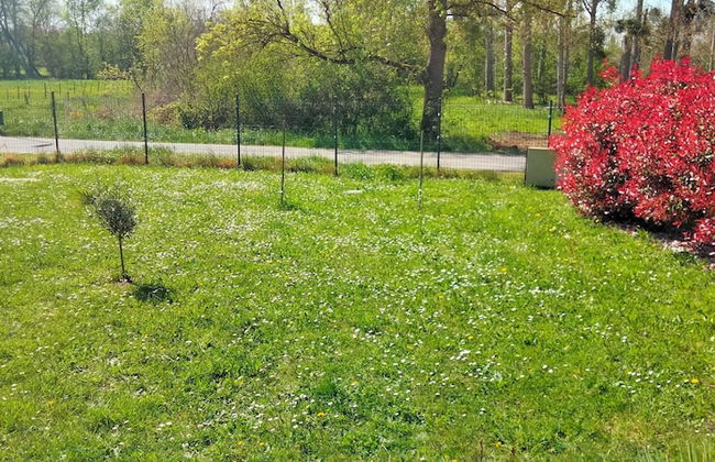 Les Logis de la Seugne - Foto 17