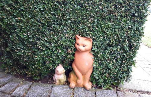 Ferienwohnung Hügelhaus - Foto 20