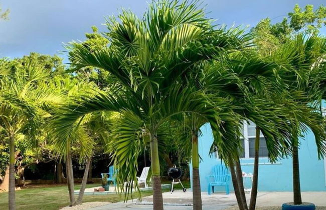 S4 BP Steps to Beach - Photo 30