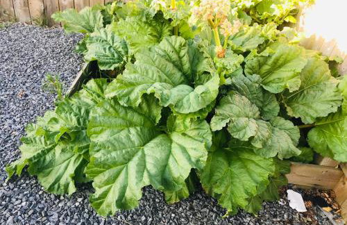 Courtyard Bothy - Foto 28