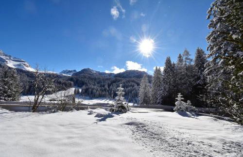 Villa al Campo - Foto 3