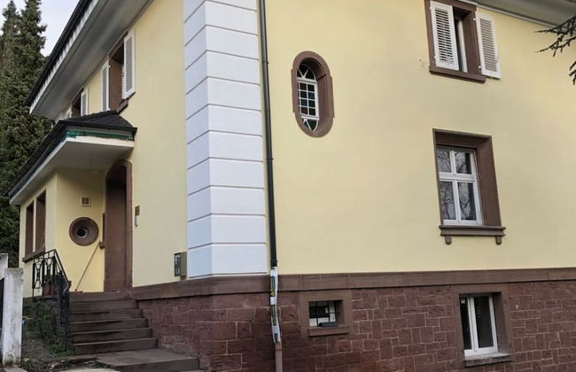 Villa Birkenfeld - Foto 1