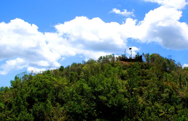 Zip Lining Samaná - Foto 3