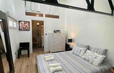 Rare ! LOFT Atypique Centre-Ville Parking Jardin - Foto 38