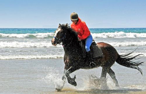 The Burgage - Cottage - Foto 27