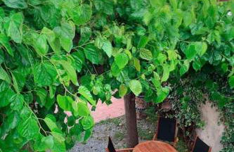 Charming house in Sant Pol facing the sea - Foto 21