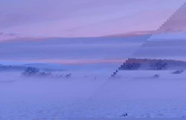 Trilha pelo Parque Nacional de Riisitunturi - Foto 9