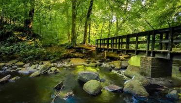 Windsor View - Foto 5