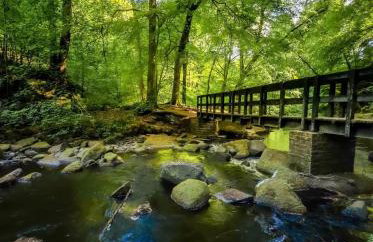 Windsor View - Foto 5