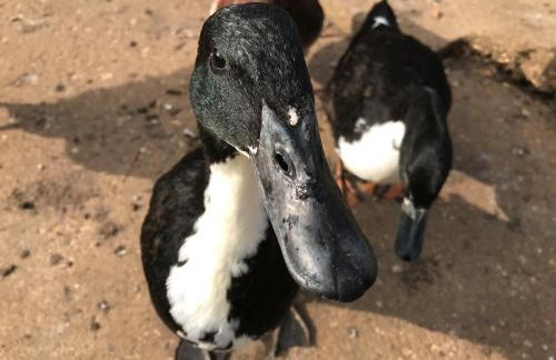 The Grainstore at Moor Farm - Foto 33