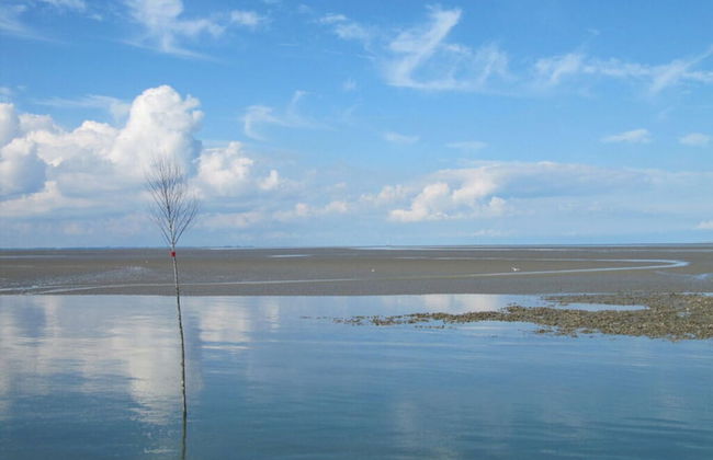 Holiday Home Kleiner Friese Dangast - Foto 13