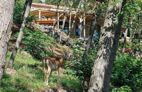 Sea View House Among Holm Oaks On Elba - Photo 33