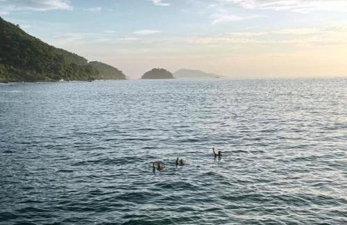 J U N Q U E I R A i - Photo 11