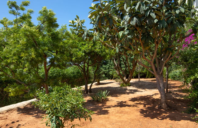 Los Buhitos - Foto 36