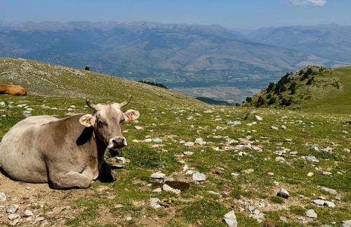 Residencia Pista Llarga - Foto 68