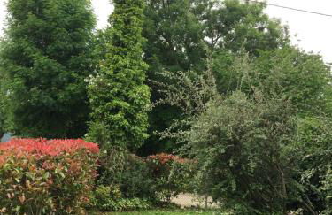 LA CASA DE LOS GÜELOS - Photo 8