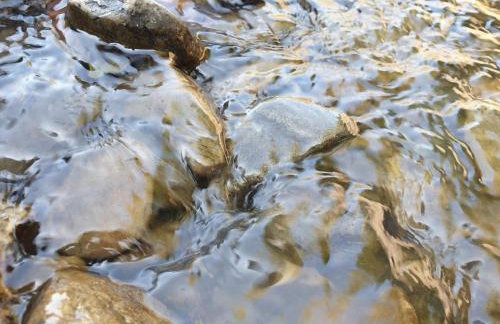 Riverside Cabin - Sleeps 2 - Hottub - Parking - Foto 23