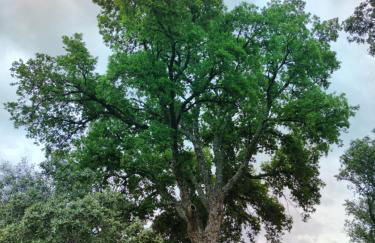 Tu Casa de Pueblo - Photo 30